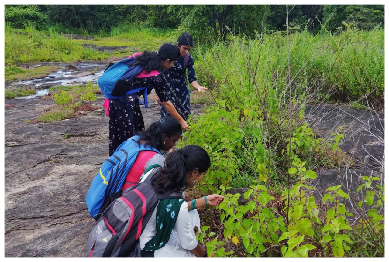 MSc Botany 2021-23 batch field exploration at Mayannur, Kerala (15/09/22)