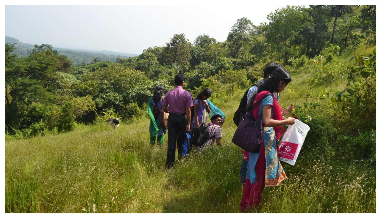 MSc Botany 2014-15 batch field exploration at Perumala, Kerala (18/11/14)