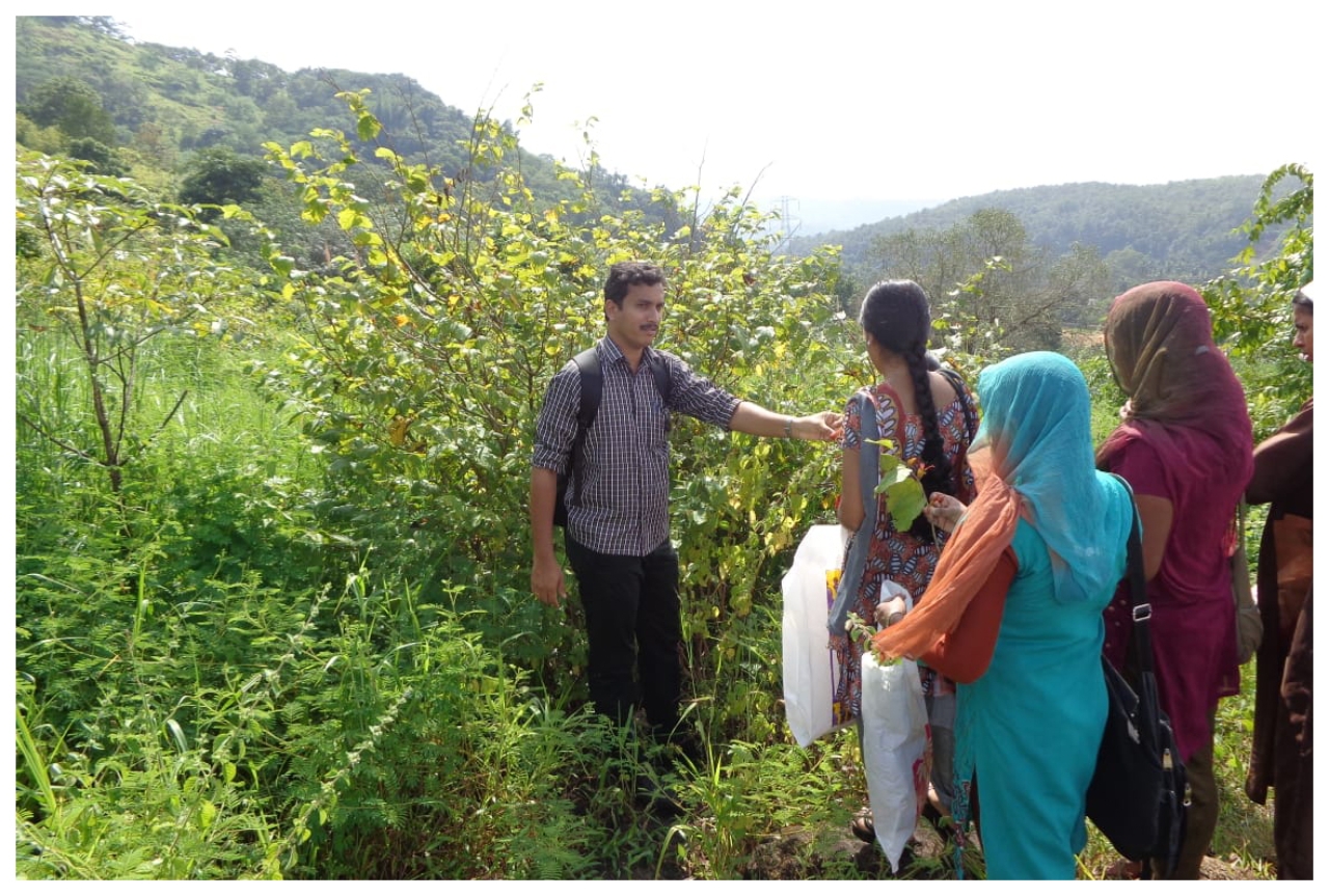 MSc Botany 2013-14 batch field exploration at Pattathippara, Kerala (10/10/13)